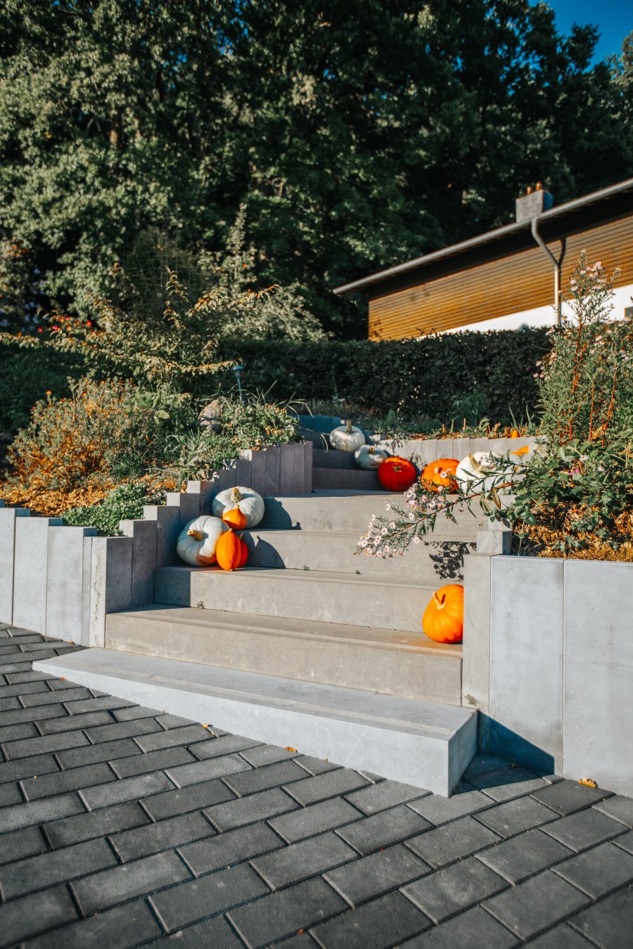 Escaliers et palissades en pierre bleue